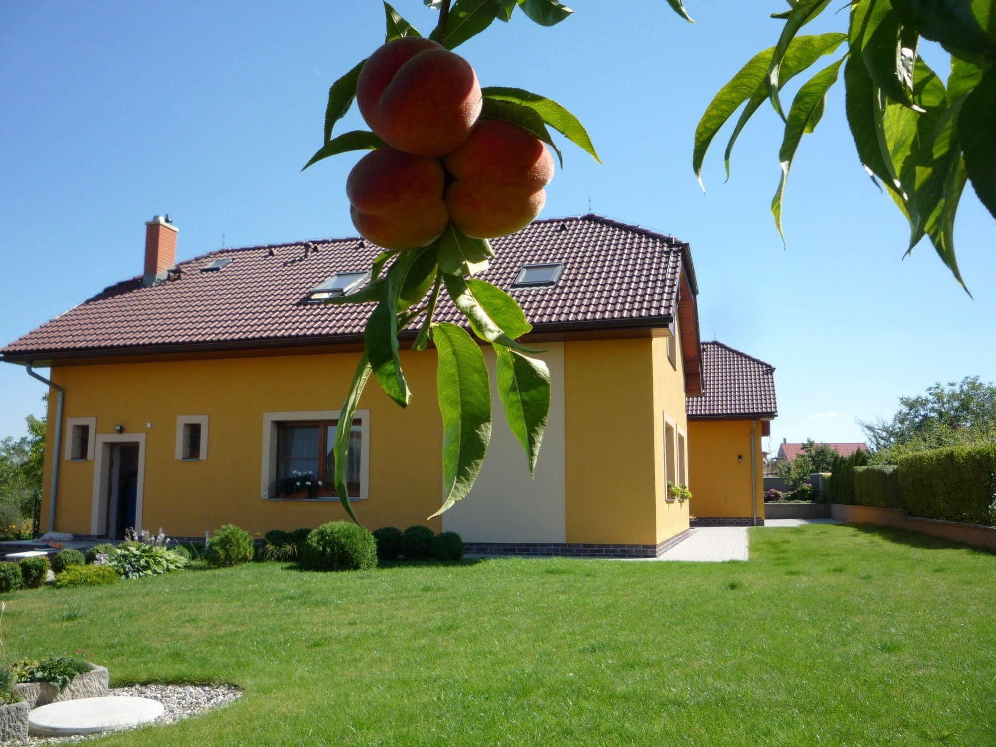 Apartmány Gráf Chýně Esterno foto
