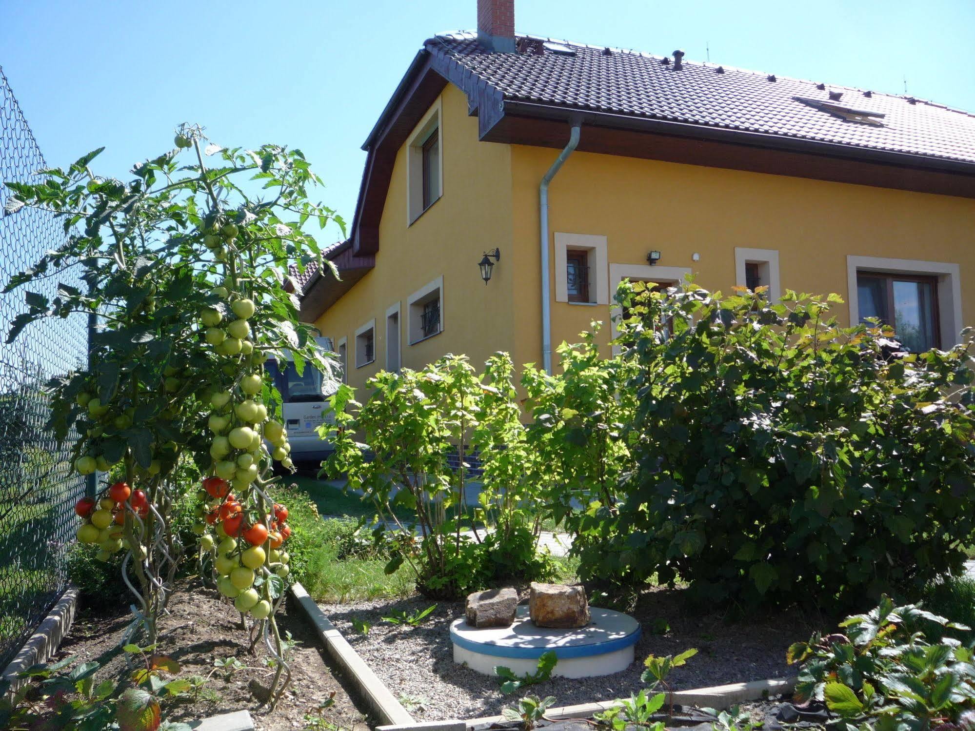 Apartmány Gráf Chýně Esterno foto